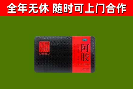 杂多县回收阿胶